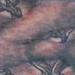 Tattoos - Oak Tree - 63347